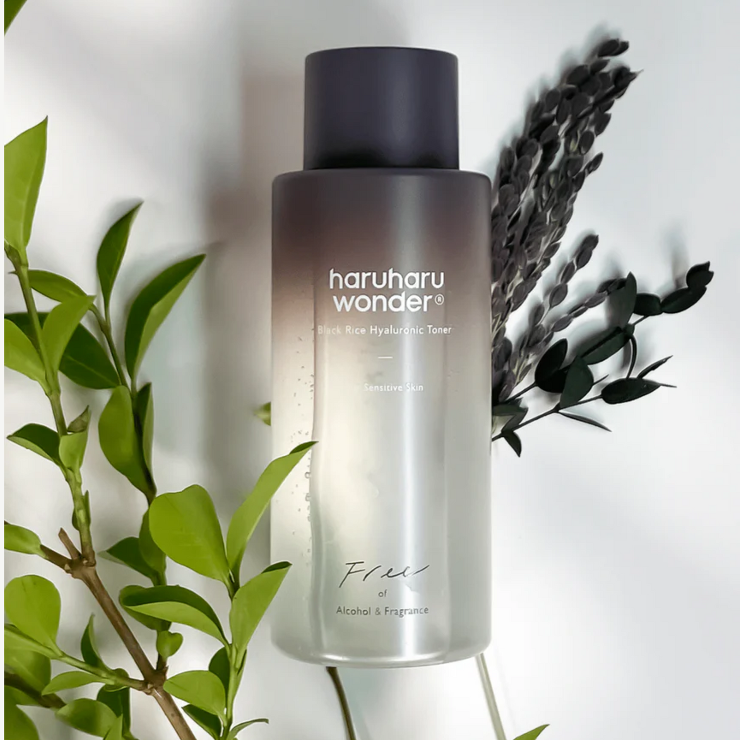 haruharu wonder Black Rice Hyaluronic Toner Fragrance Free